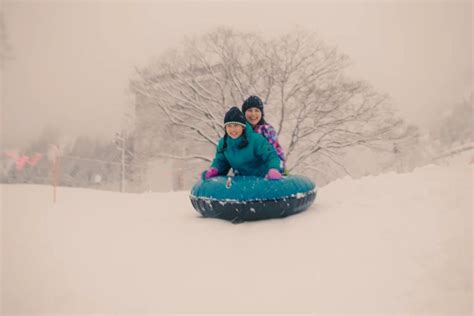 www snowie com：让您的冬季之旅更加精彩