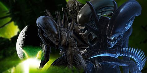 xenomorph number of the beast, The number of the beast digital art by terry keith