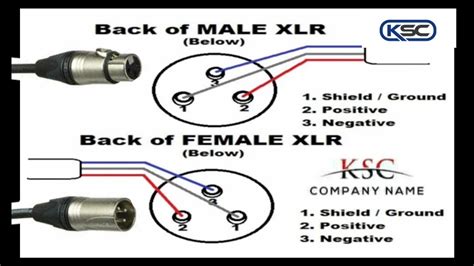 xlr jack wiring 