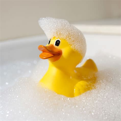 yellow duck in bath, One yellow rubber duck with soap bubble bath, light background with. Rubber duck gummiente heller blasen hintergrund gelbe kinder termale anatra gomma leggero concetto gialla sapone bolle