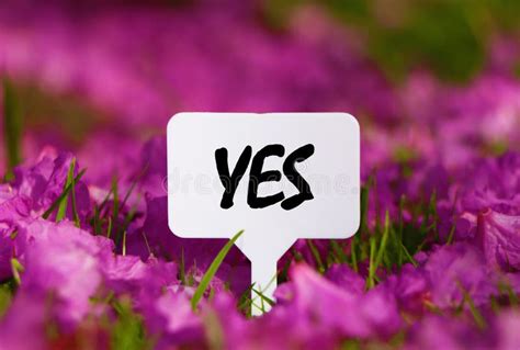 yes sign board, Vector drawing of wooden sign board with business text yes stock vector