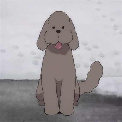 yuri on ice dog