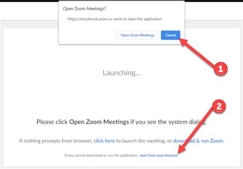 zoom opening in browser instead of app, Download best video conferencing apps (100% hd+ video)